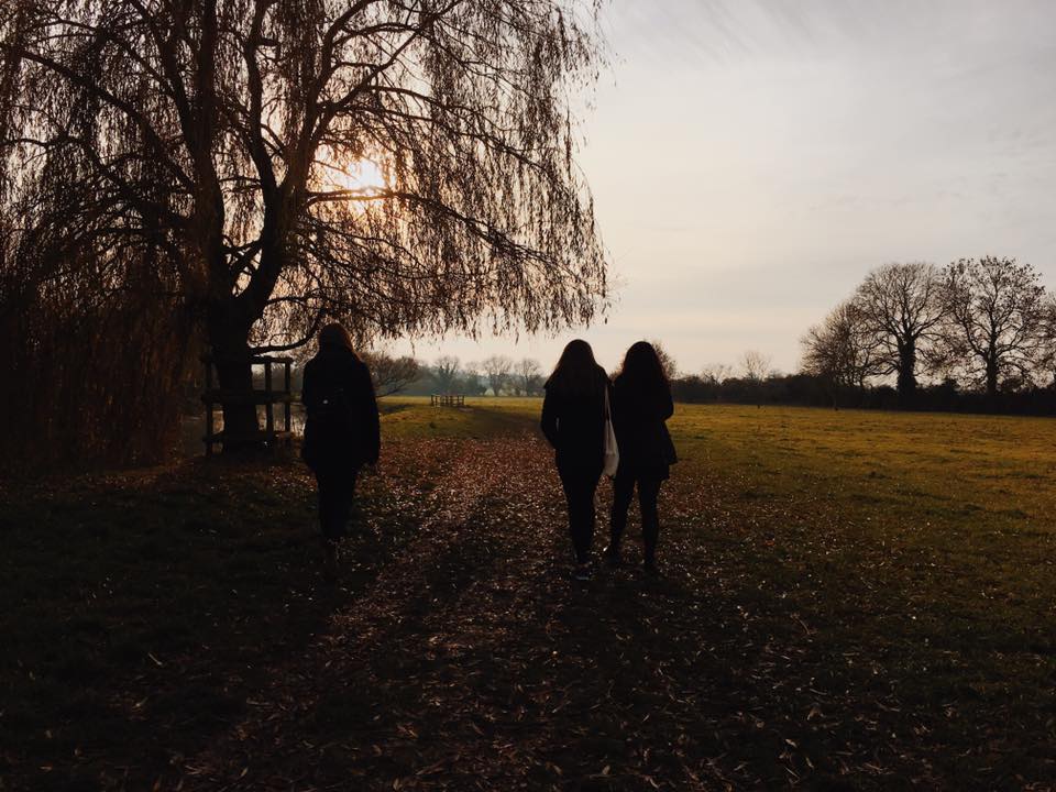 At the End of Week Five: On fireworks and&nbsp;perspective