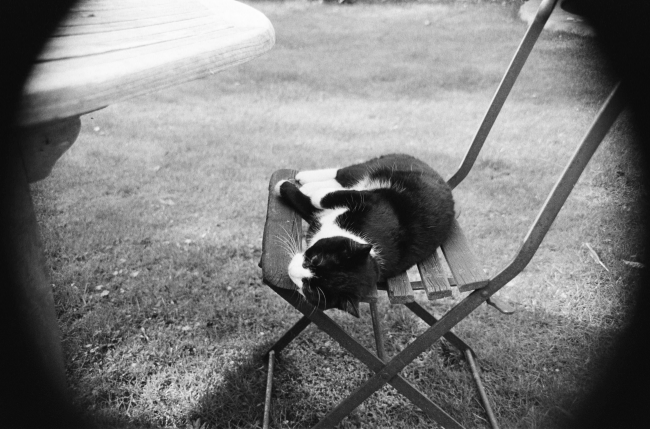 screen shot 2019-01-21 at 17.26.57