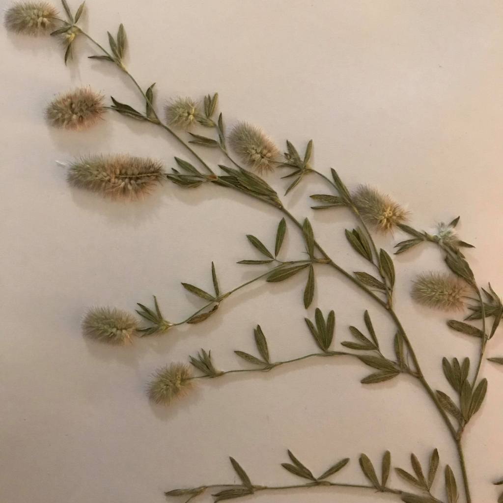 My week in&nbsp;doodles